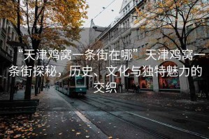 “天津雞窩一條街在哪”天津雞窩一條街探秘，歷史、文化與獨(dú)特魅力的交織