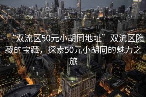 “雙流區(qū)50元小胡同地址”雙流區(qū)隱藏的寶藏，探索50元小胡同的魅力之旅