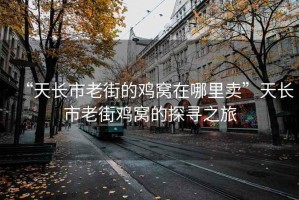 “天長(zhǎng)市老街的雞窩在哪里賣(mài)”天長(zhǎng)市老街雞窩的探尋之旅
