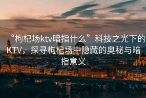 “枸杞場ktv暗指什么”科技之光下的KTV，探尋枸杞場中隱藏的奧秘與暗指意義