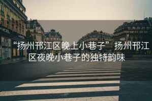 “揚(yáng)州邗江區(qū)晚上小巷子”揚(yáng)州邗江區(qū)夜晚小巷子的獨(dú)特韻味