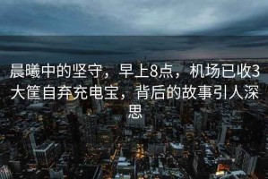 晨曦中的堅守，早上8點，機場已收3大筐自棄充電寶，背后的故事引人深思