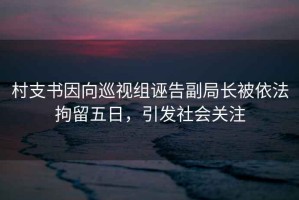 村支書因向巡視組誣告副局長(zhǎng)被依法拘留五日，引發(fā)社會(huì)關(guān)注