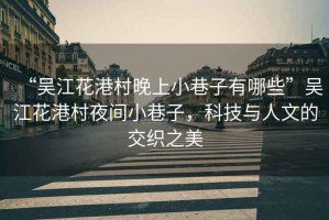 “吳江花港村晚上小巷子有哪些”吳江花港村夜間小巷子，科技與人文的交織之美