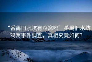 “番禺舊水坑有雞窩嗎”番禺舊水坑雞窩事件調(diào)查，真相究竟如何？