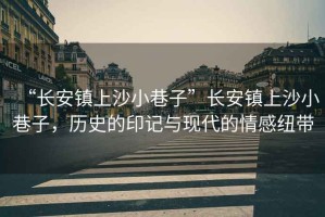 “長安鎮(zhèn)上沙小巷子”長安鎮(zhèn)上沙小巷子，歷史的印記與現(xiàn)代的情感紐帶
