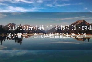“汕尾100元小巷子”科技引領(lǐng)下的汕尾小巷子，百元體驗(yàn)智能生活之旅
