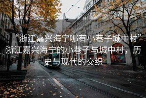 “浙江嘉興海寧哪有小巷子城中村”浙江嘉興海寧的小巷子與城中村，歷史與現(xiàn)代的交織