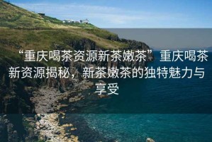 “重慶喝茶資源新茶嫩茶”重慶喝茶新資源揭秘，新茶嫩茶的獨(dú)特魅力與享受