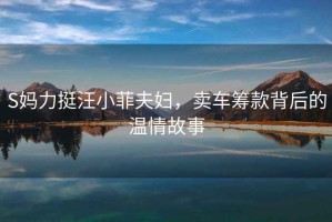 S媽力挺汪小菲夫婦，賣車籌款背后的溫情故事
