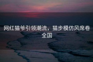 網(wǎng)紅貓爺引領(lǐng)潮流，貓步模仿風(fēng)席卷全國