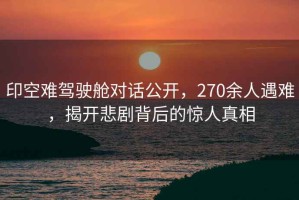 印空難駕駛艙對(duì)話公開，270余人遇難，揭開悲劇背后的驚人真相