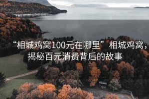 “相城雞窩100元在哪里”相城雞窩，揭秘百元消費(fèi)背后的故事