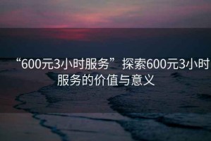 “600元3小時(shí)服務(wù)”探索600元3小時(shí)服務(wù)的價(jià)值與意義