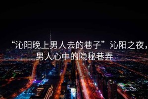 “沁陽晚上男人去的巷子”沁陽之夜，男人心中的隱秘巷弄
