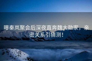 曝秦嵐聚會(huì)后深夜直奔魏大勛家，親密關(guān)系引猜測(cè)！