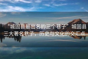 “城固縣最出名的三個(gè)巷子”城固縣三大著名巷子，歷史與文化的交匯點(diǎn)