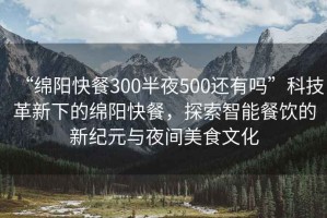 “綿陽(yáng)快餐300半夜500還有嗎”科技革新下的綿陽(yáng)快餐，探索智能餐飲的新紀(jì)元與夜間美食文化