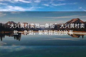 “大興黃村賣批一條街”大興黃村賣批一條街，繁榮背后的故事