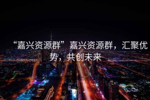 “嘉興資源群”嘉興資源群，匯聚優(yōu)勢(shì)，共創(chuàng)未來