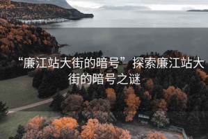 “廉江站大街的暗號(hào)”探索廉江站大街的暗號(hào)之謎