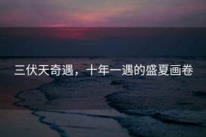 三伏天奇遇，十年一遇的盛夏畫卷