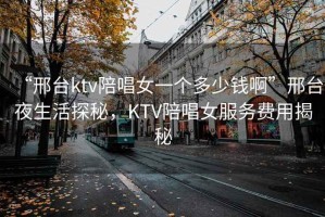 “邢臺ktv陪唱女一個多少錢啊”邢臺夜生活探秘，KTV陪唱女服務費用揭秘