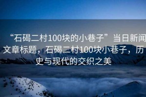 “石碣二村100塊的小巷子”當(dāng)日新聞文章標(biāo)題，石碣二村100塊小巷子，歷史與現(xiàn)代的交織之美