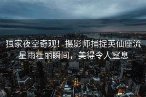 獨(dú)家夜空奇觀！攝影師捕捉英仙座流星雨壯麗瞬間，美得令人窒息