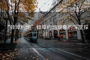 “蚌埠約炮”蚌埠約炮現(xiàn)象的深度探討