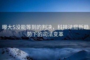 曝大S沒能等到的判決，科技法庭新趨勢(shì)下的司法變革