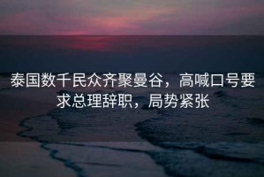 泰國數(shù)千民眾齊聚曼谷，高喊口號要求總理辭職，局勢緊張