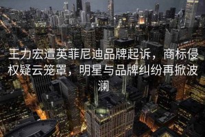 王力宏遭英菲尼迪品牌起訴，商標(biāo)侵權(quán)疑云籠罩，明星與品牌糾紛再掀波瀾