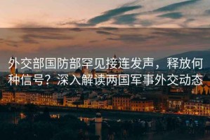 外交部國防部罕見接連發(fā)聲，釋放何種信號？深入解讀兩國軍事外交動態(tài)