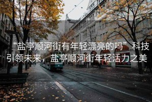“鹽亭順河街有年輕漂亮的嗎”科技引領(lǐng)未來，鹽亭順河街年輕活力之美