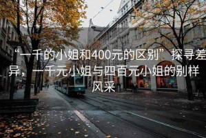 “一千的小姐和400元的區(qū)別”探尋差異，一千元小姐與四百元小姐的別樣風(fēng)采
