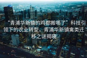 “青浦華新鎮(zhèn)的雞都搬哪了”科技引領(lǐng)下的農(nóng)業(yè)轉(zhuǎn)型，青浦華新鎮(zhèn)禽類遷移之謎揭曉
