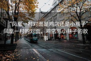 “鳳凰一村對(duì)面是雞店還是小巷子”鳳凰一村的對(duì)面，雞店與小巷子的故事