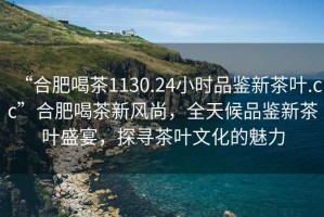 “合肥喝茶1130.24小時品鑒新茶葉.cc”合肥喝茶新風尚，全天候品鑒新茶葉盛宴，探尋茶葉文化的魅力