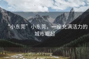 “小東莞”小東莞，一座充滿活力的城市崛起