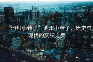 “池州小巷子”池州小巷子，歷史與現(xiàn)代的交織之美