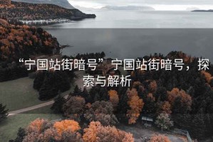 “寧國(guó)站街暗號(hào)”寧國(guó)站街暗號(hào)，探索與解析