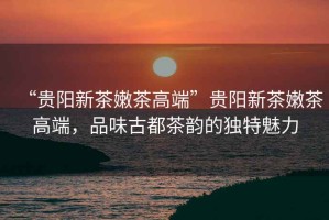 “貴陽(yáng)新茶嫩茶高端”貴陽(yáng)新茶嫩茶高端，品味古都茶韻的獨(dú)特魅力