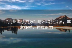 “荊州喝茶資源”荊州喝茶資源，豐富多樣，獨具魅力