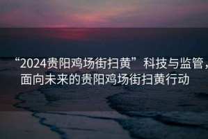 “2024貴陽雞場街掃黃”科技與監(jiān)管，面向未來的貴陽雞場街掃黃行動