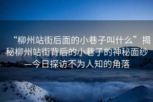 “柳州站街后面的小巷子叫什么”揭秘柳州站街背后的小巷子的神秘面紗—今日探訪不為人知的角落