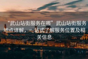 “武山站街服務(wù)在哪”武山站街服務(wù)地點(diǎn)詳解，一站式了解服務(wù)位置及相關(guān)信息
