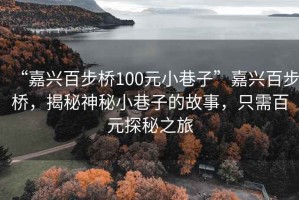 “嘉興百步橋100元小巷子”嘉興百步橋，揭秘神秘小巷子的故事，只需百元探秘之旅