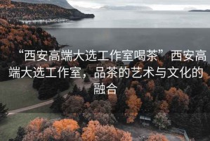 “西安高端大選工作室喝茶”西安高端大選工作室，品茶的藝術與文化的融合