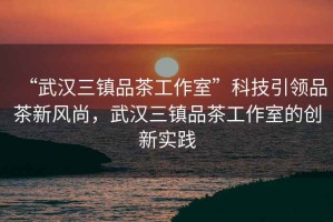 “武漢三鎮(zhèn)品茶工作室”科技引領(lǐng)品茶新風(fēng)尚，武漢三鎮(zhèn)品茶工作室的創(chuàng)新實(shí)踐